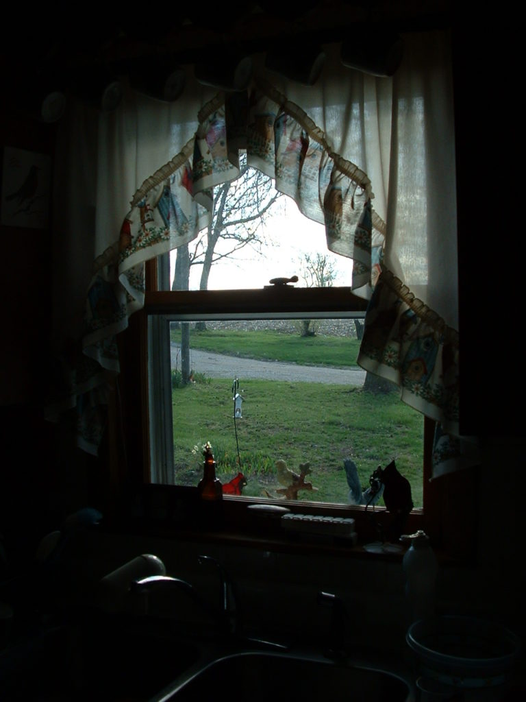 Photo out the window of my wife's grandparents' house.