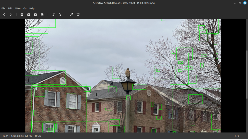 Selective search output run against an image with a hawk.
